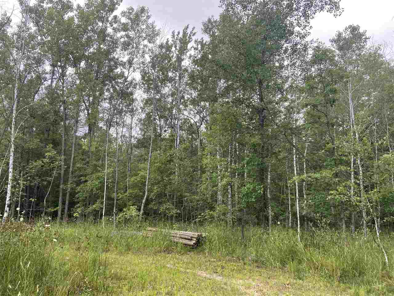 0 North Flajole Road Rhodes, MI 48652 - Photo 13 of 16