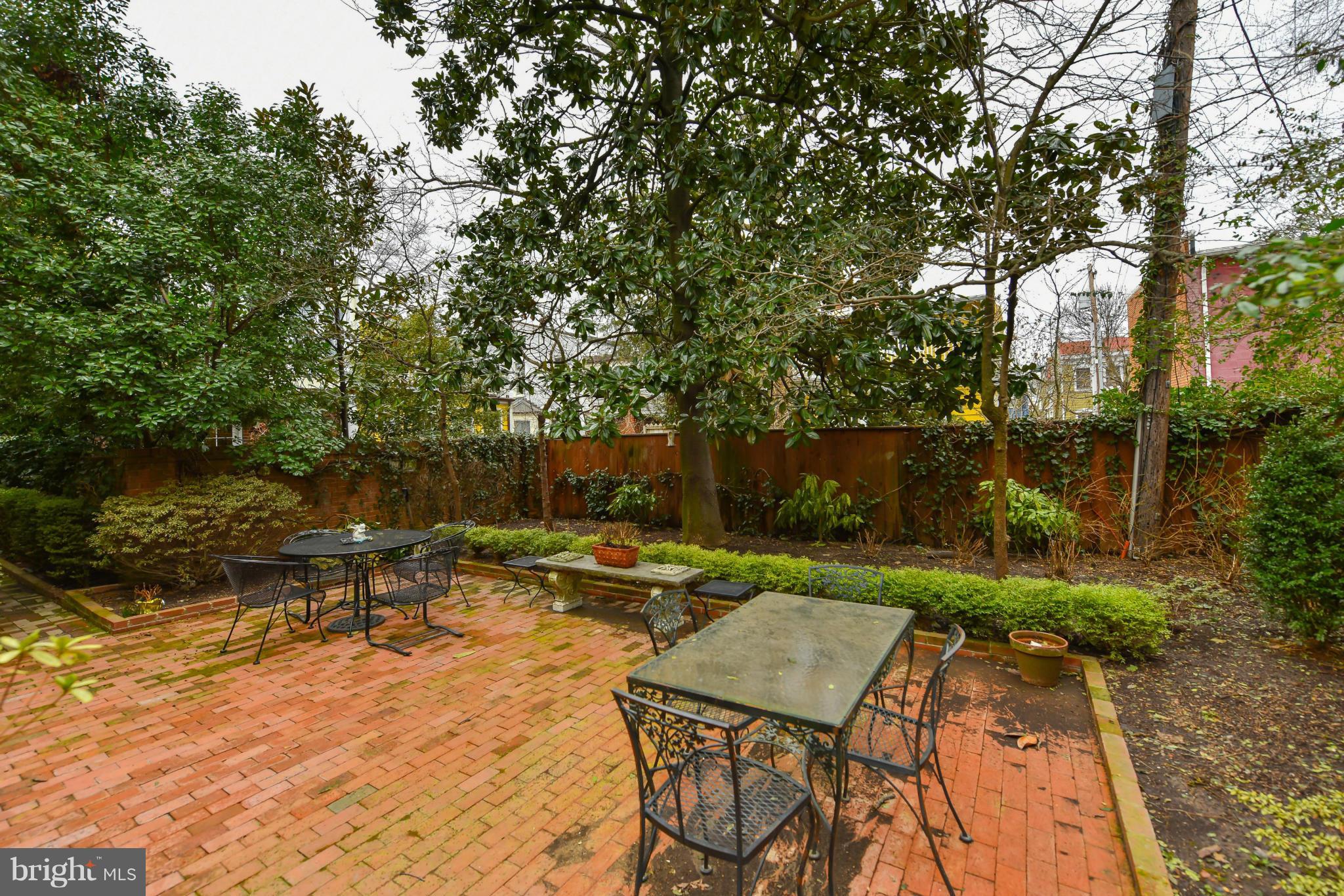 412 Wolfe Street Alexandria, VA 22314 - Photo 3 of 30 Exterior (Rear)