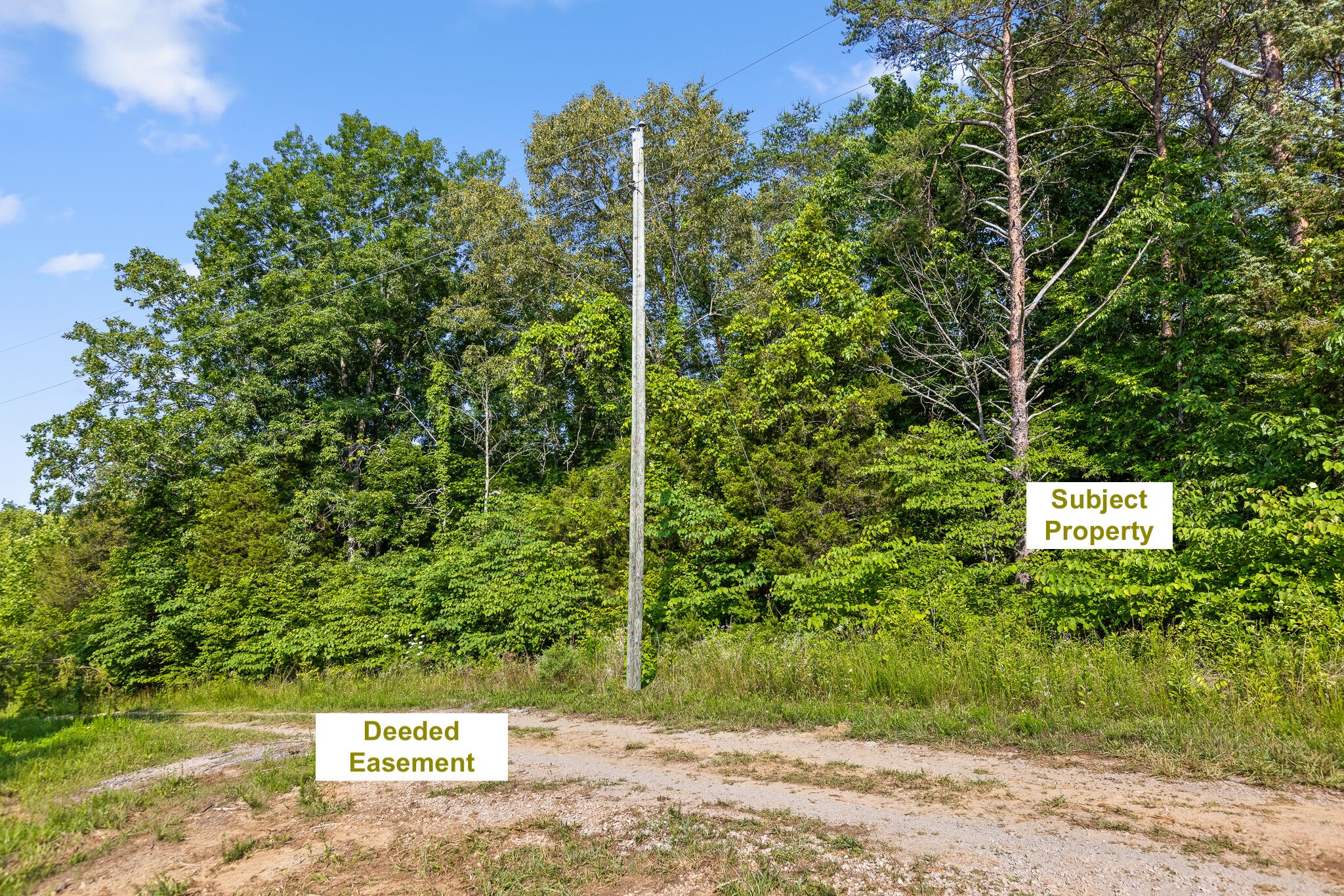0 Welch Road Tellico Plains, TN 37385 - Photo 9 of 19