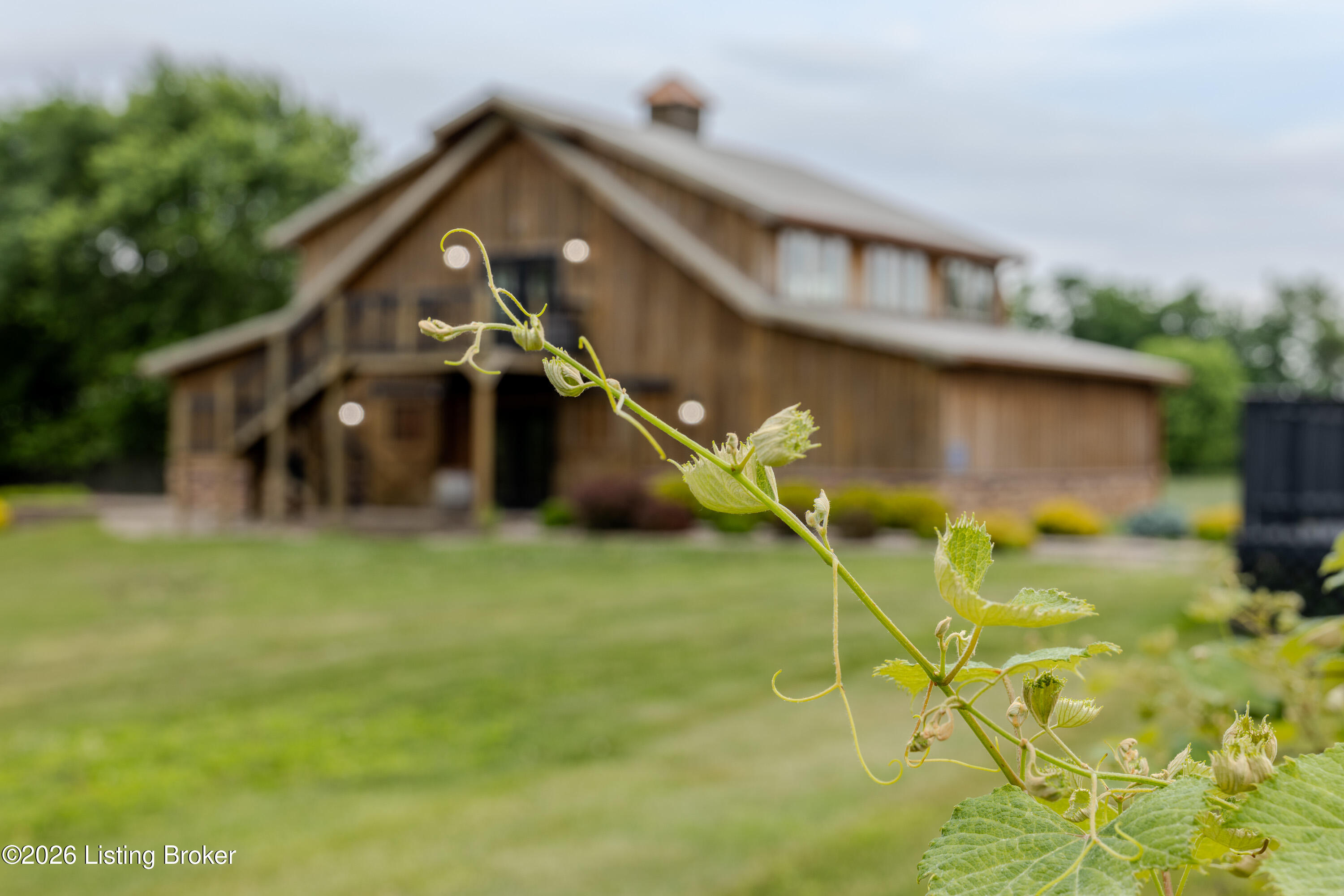 650 Midway Road Guston, KY 40142 - Photo 28 of 72 BARN EXTERIOR(10)
