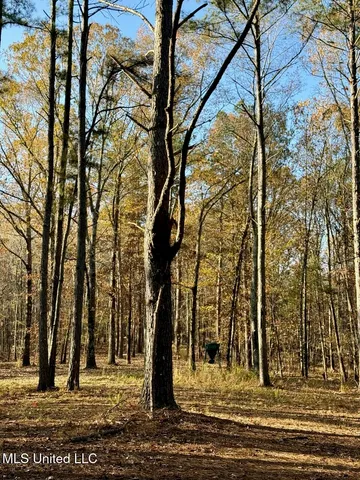 $70,000 | 3 D O Road, Lamar, MS 38642