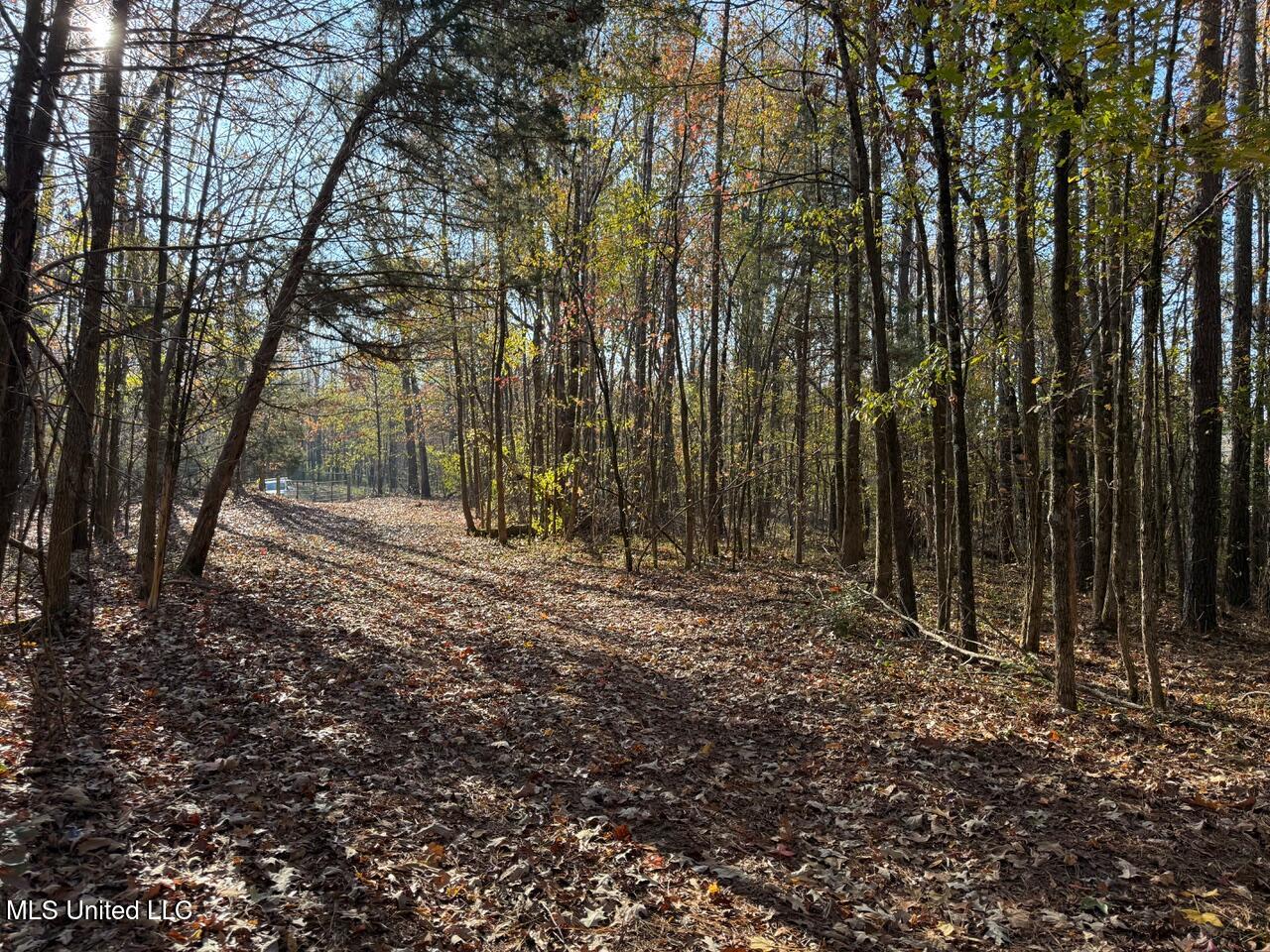 3 D O Road Lamar, MS 38642 - Photo 36 of 98 IMG_0173