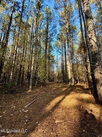 $70,000 | 3 D O Road, Lamar, MS 38642