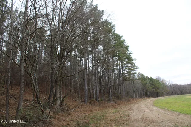 $70,000 | 3 D O Road, Lamar, MS 38642