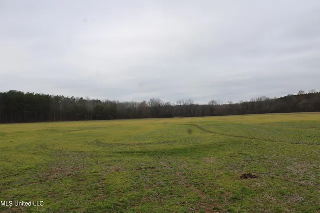 $70,000 | 3 D O Road, Lamar, MS 38642