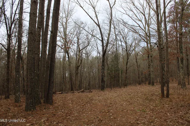 $70,000 | 3 D O Road, Lamar, MS 38642