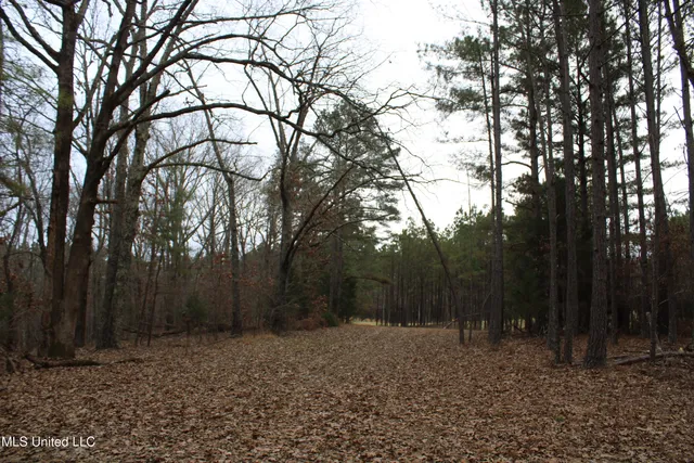 $70,000 | 3 D O Road, Lamar, MS 38642
