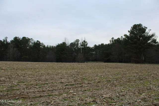 $70,000 | 3 D O Road, Lamar, MS 38642