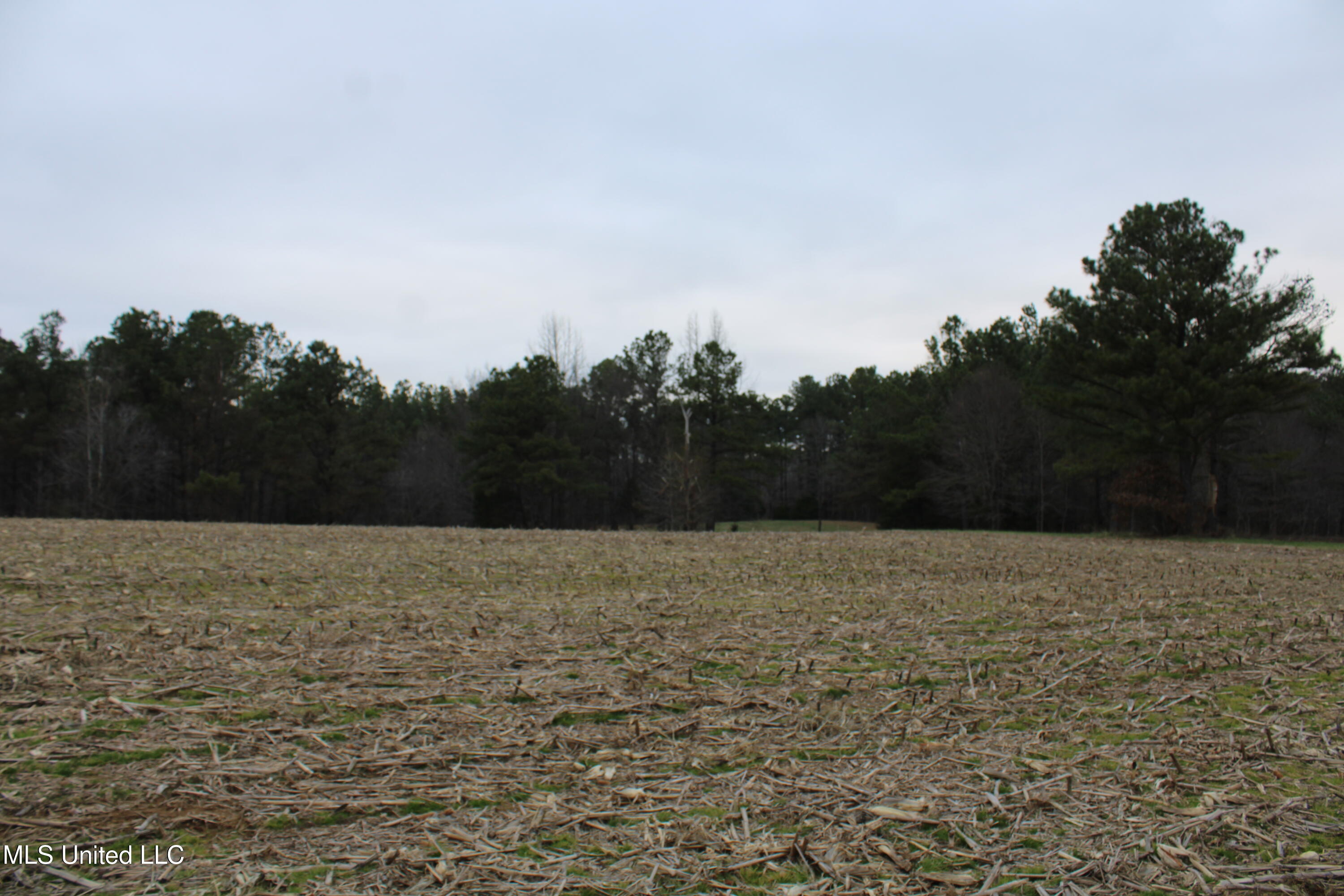 3 D O Road Lamar, MS 38642 - Photo 72 of 98 IMG_5293