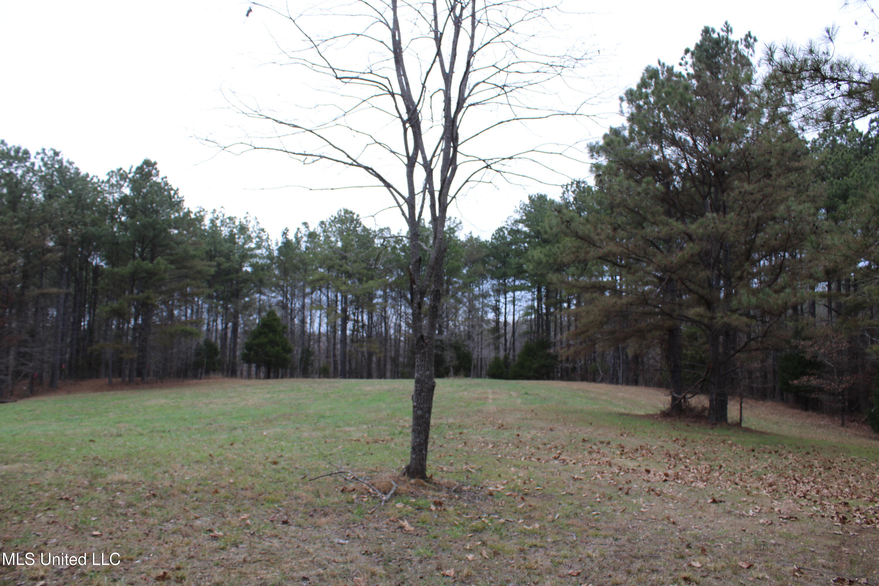 3 D O Road Lamar, MS 38642 - Photo 75 of 98 IMG_5296