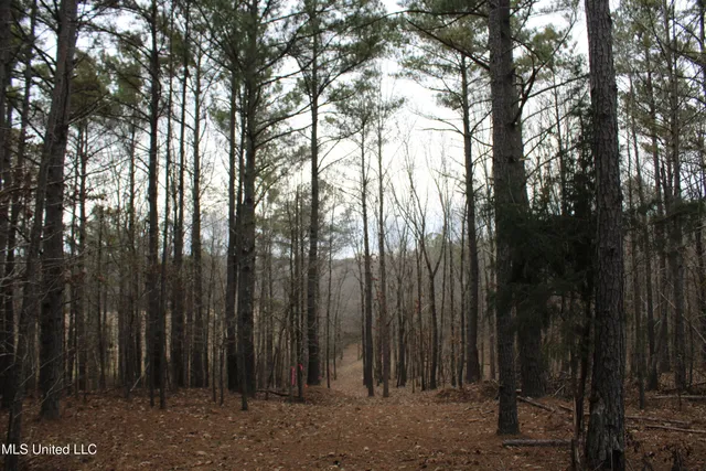 $70,000 | 3 D O Road, Lamar, MS 38642