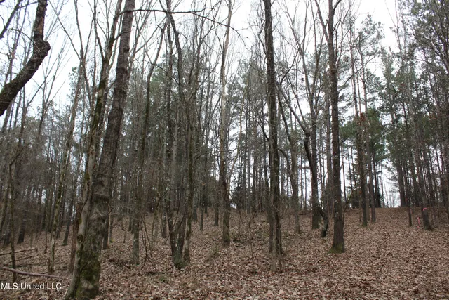 $70,000 | 3 D O Road, Lamar, MS 38642