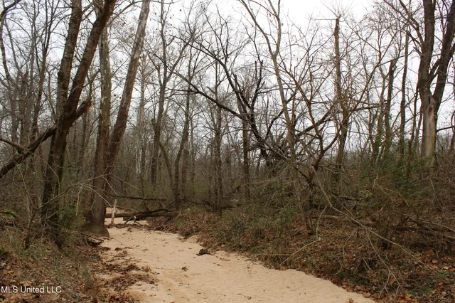 $70,000 | 3 D O Road, Lamar, MS 38642