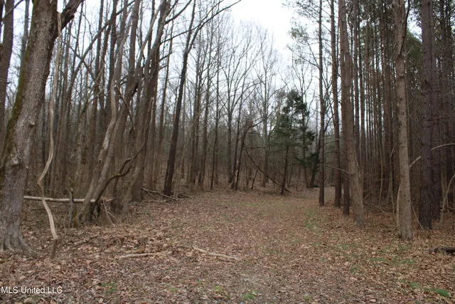 $70,000 | 3 D O Road, Lamar, MS 38642
