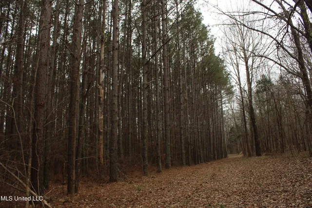 $70,000 | 3 D O Road, Lamar, MS 38642