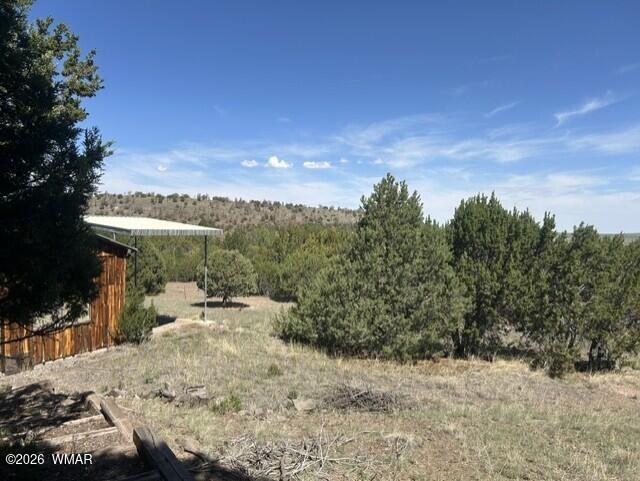 1862 Snowline Road Eagar, AZ 85925 - Photo 18 of 19 Gallery Image 18