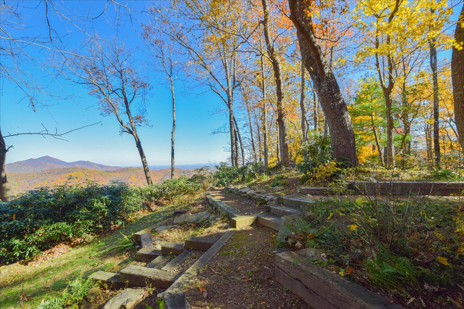 333 Hemlock Ridge Road Southeast Copper Hill, VA 24079 - Photo 11 of 45 a view of a backyard of the house
