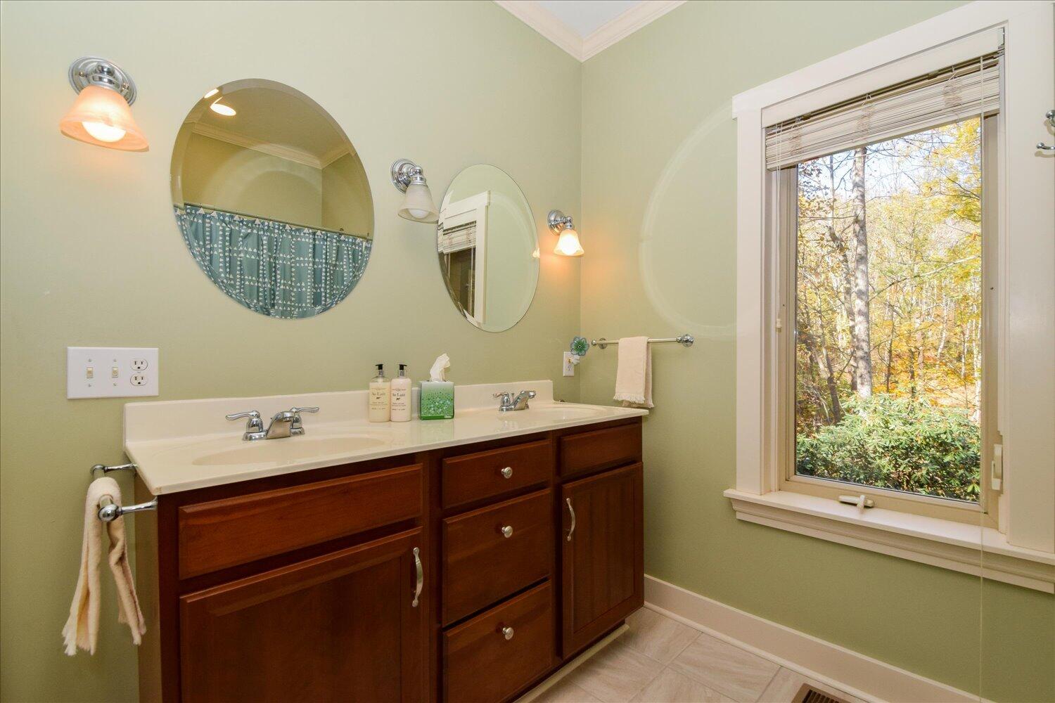 333 Hemlock Ridge Road Southeast Copper Hill, VA 24079 - Photo 29 of 45 a bathroom with a double vanity sink and a mirror