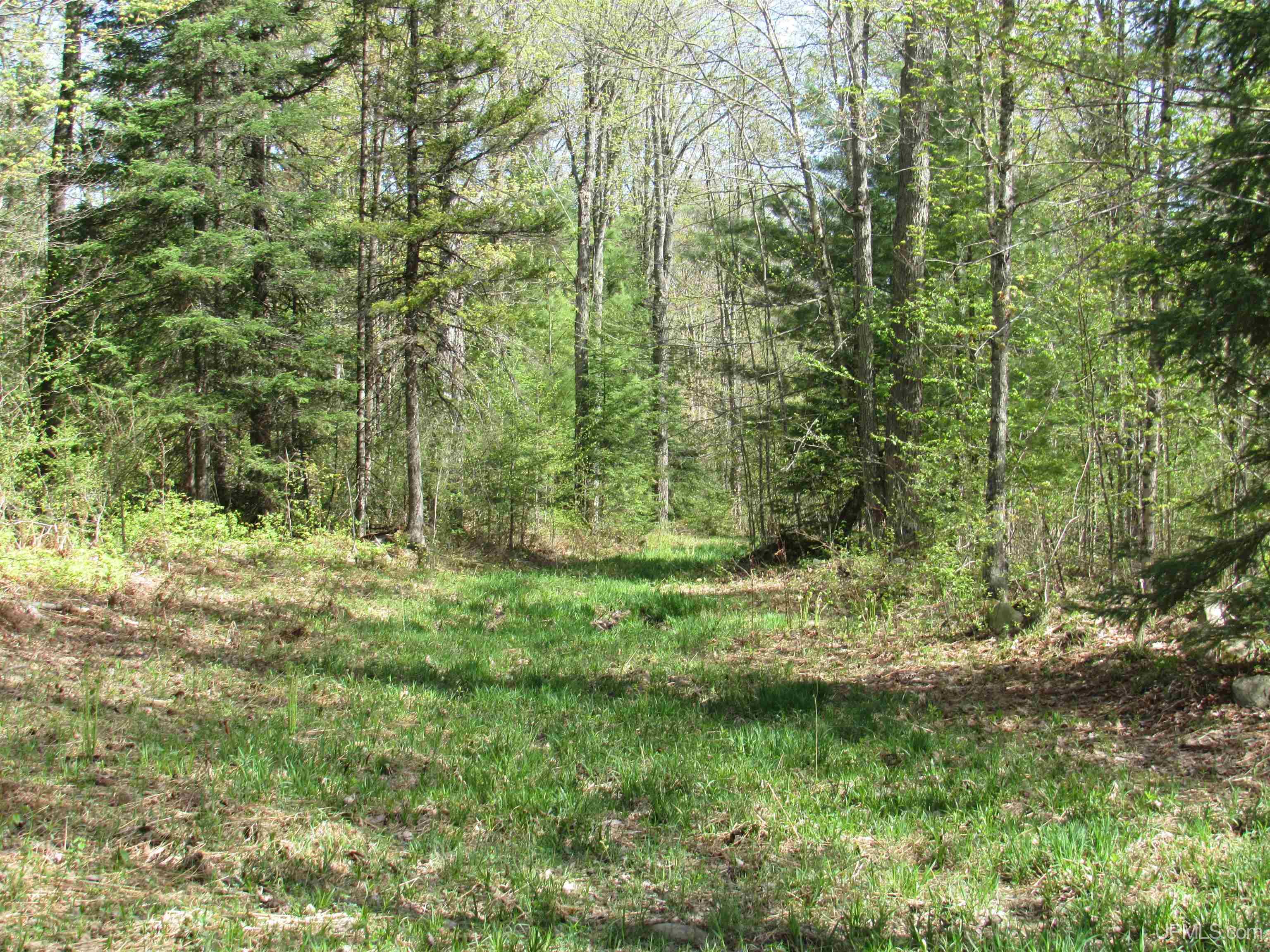 Tbd Us 141 Road, Unit LUKES ROAD Amasa, MI 49903 - Photo 2 of 22