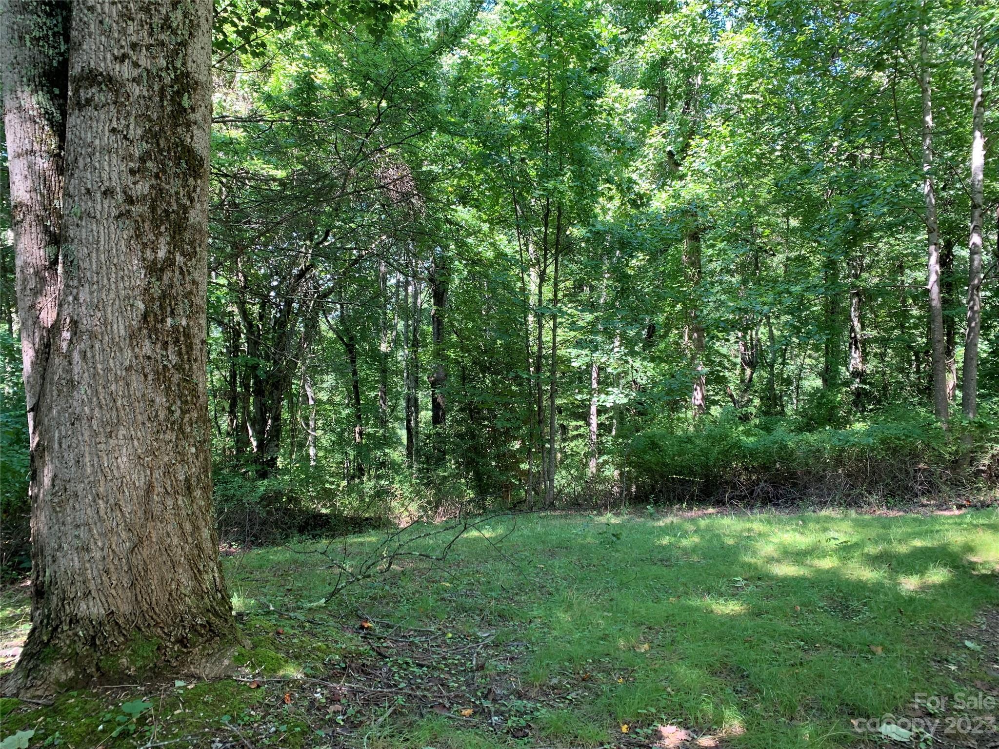 Tbd Tbd Brightwater Road, Unit 4 AND 5 Hendersonville, NC 28739 - Photo 2 of 8 a view of lush green forest