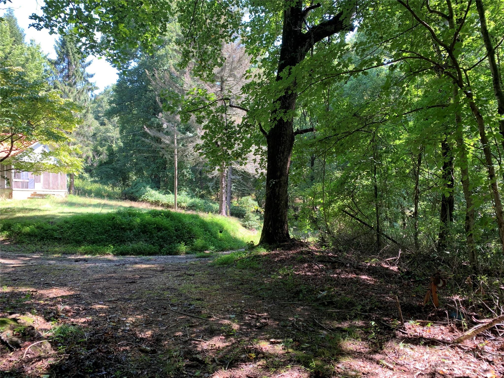 Tbd Tbd Brightwater Road, Unit 4 AND 5 Hendersonville, NC 28739 - Photo 3 of 8 a view of a yard with plants and large trees