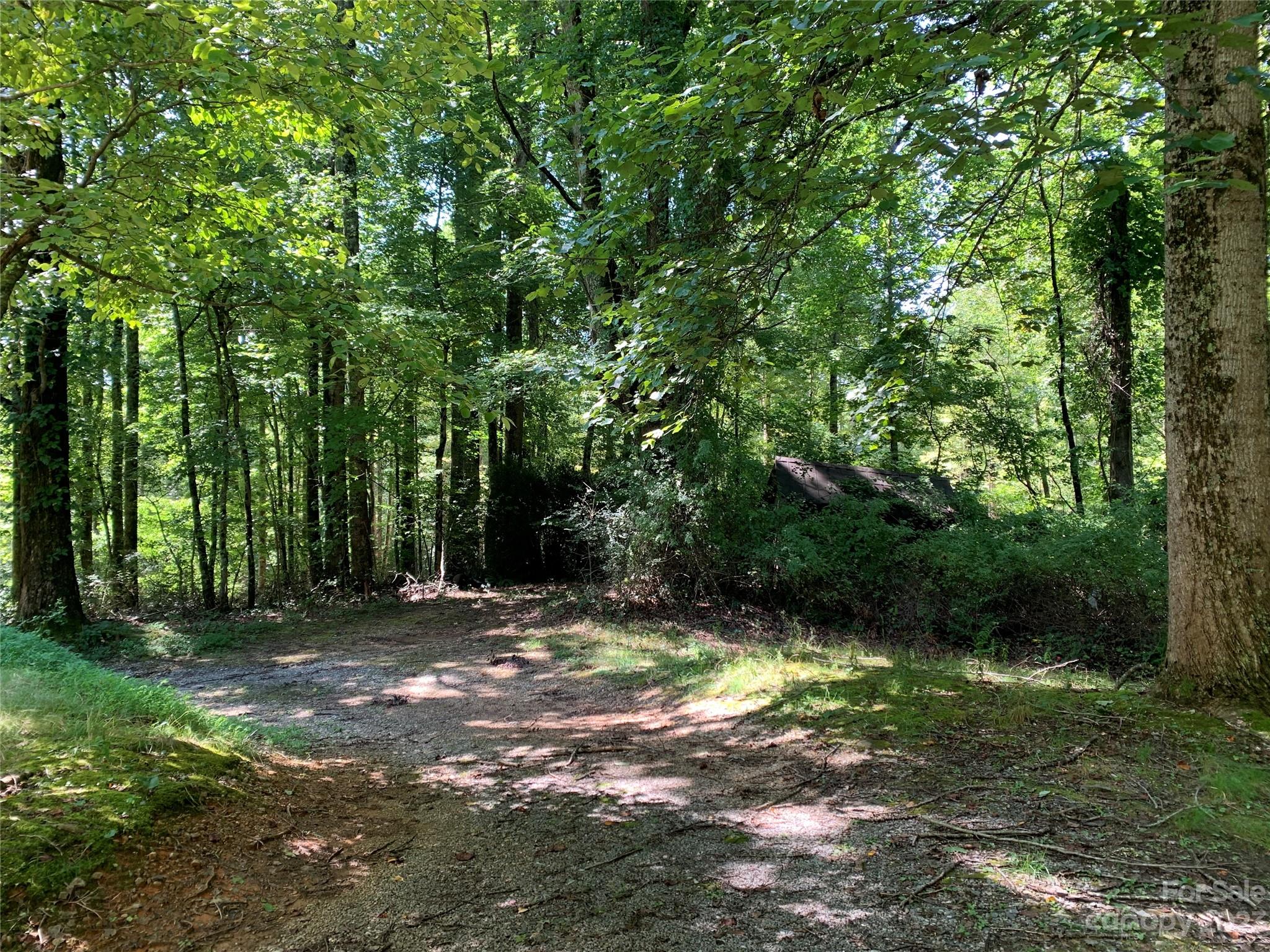 Tbd Tbd Brightwater Road, Unit 4 AND 5 Hendersonville, NC 28739 - Photo 4 of 8 a view of outdoor space with trees