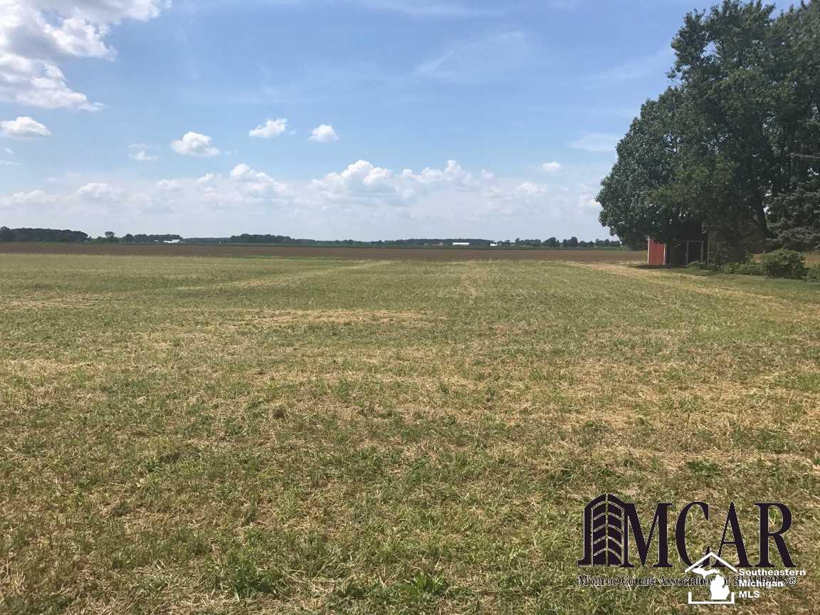 0 Geiger Road Ida, MI 48140 - Photo 3 of 4