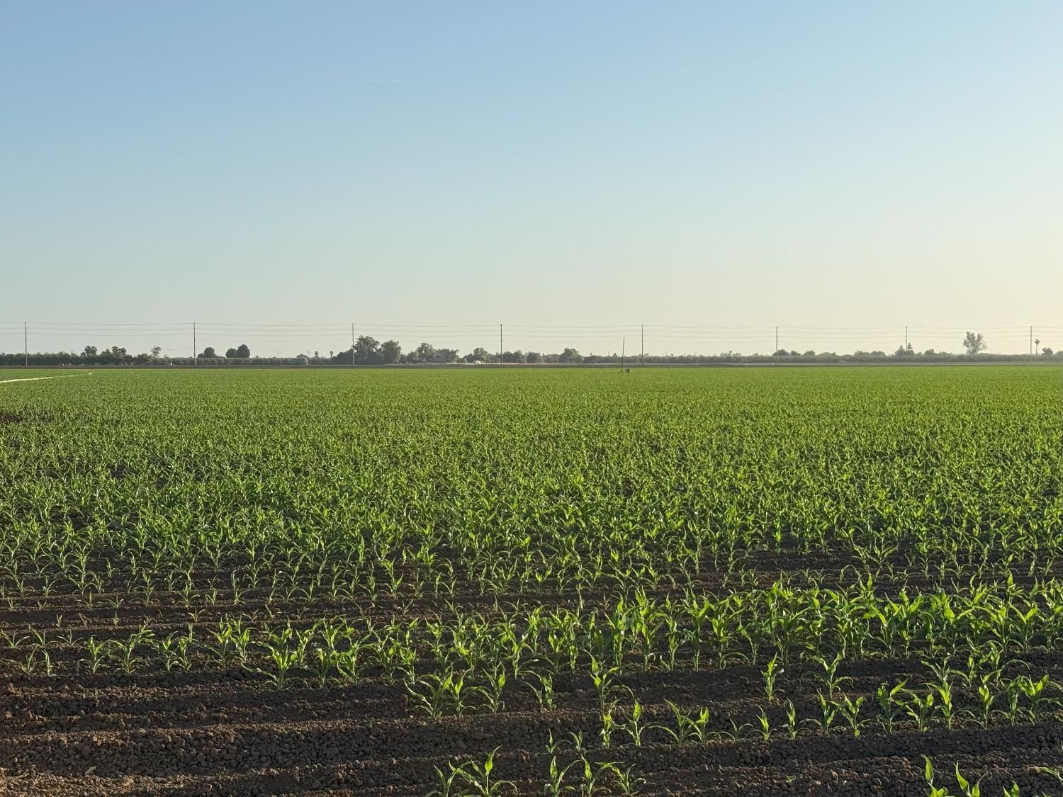 19054 Ca-33 Crows Landing Crows Landing, CA 95313 - Photo 15 of 30
