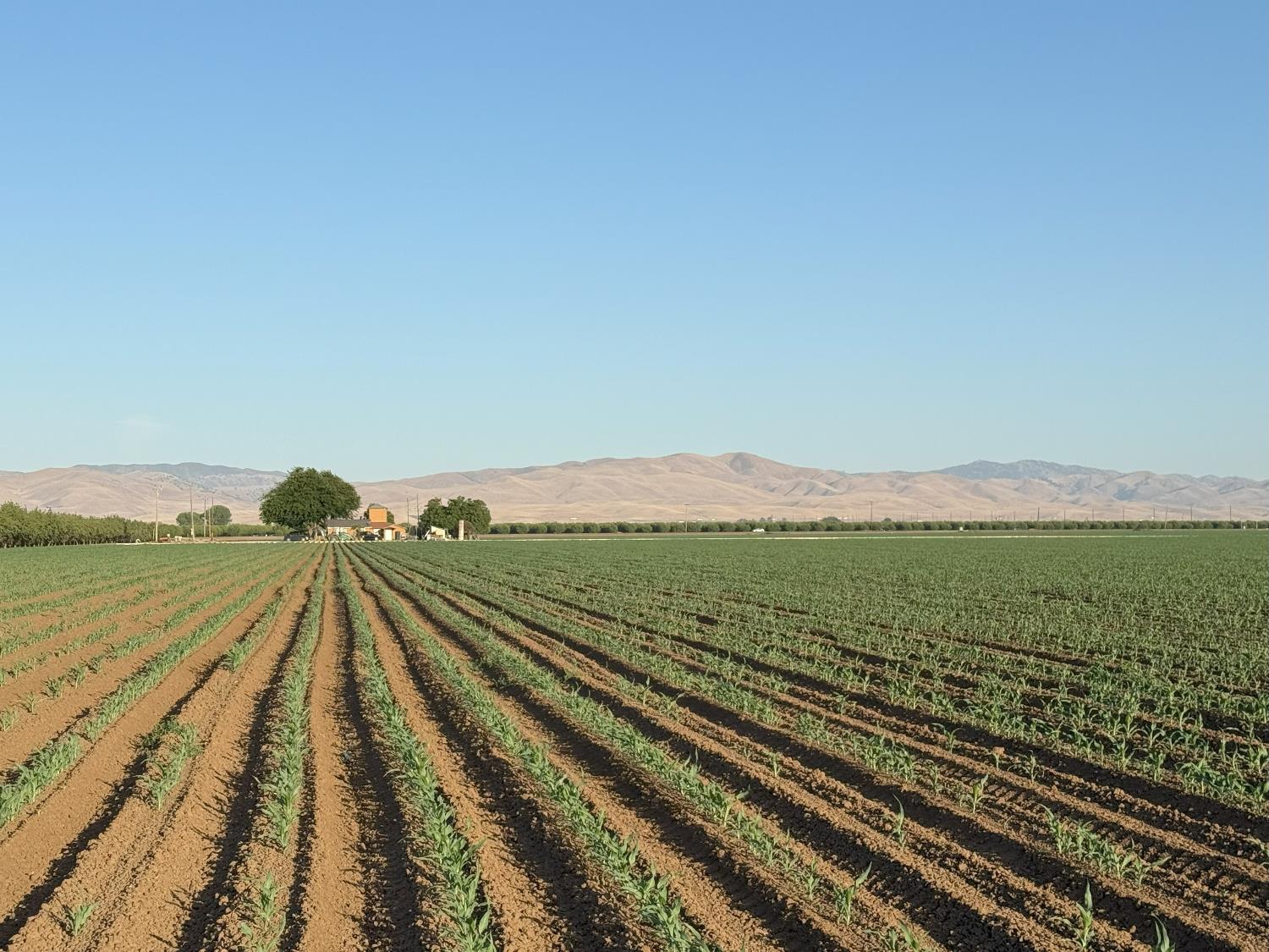 19054 Ca-33 Crows Landing Crows Landing, CA 95313 - Photo 17 of 30