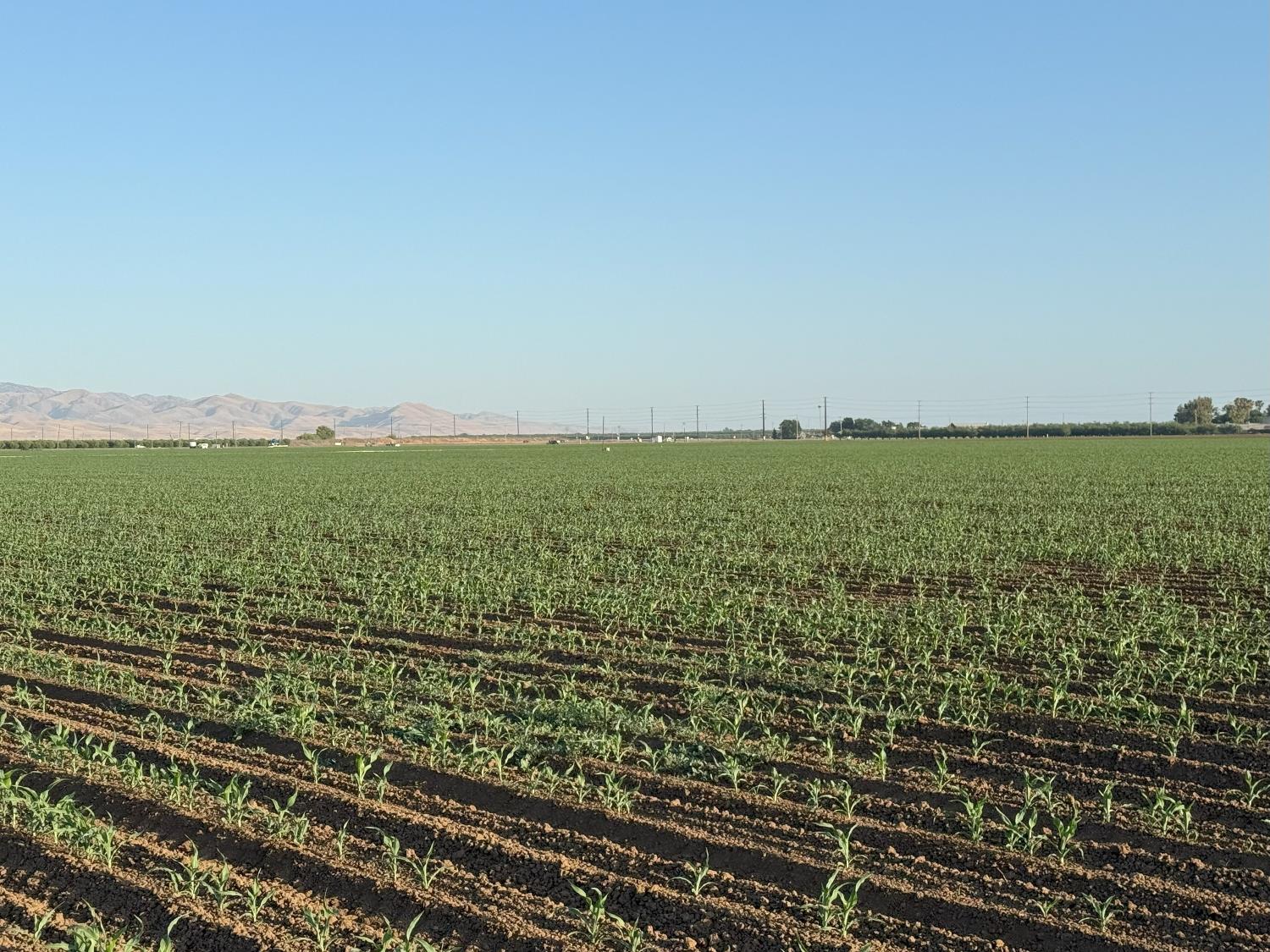 19054 Ca-33 Crows Landing Crows Landing, CA 95313 - Photo 18 of 30