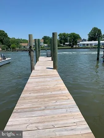 a view of a lake with boats and trees in the background