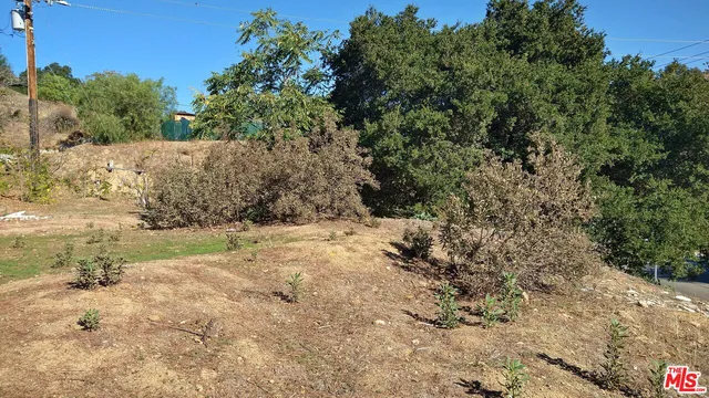 a view of a yard with trees