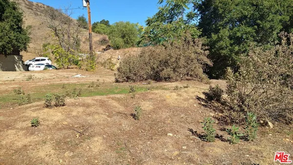 a view of a yard with a tree