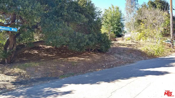a view of a yard with plants and trees