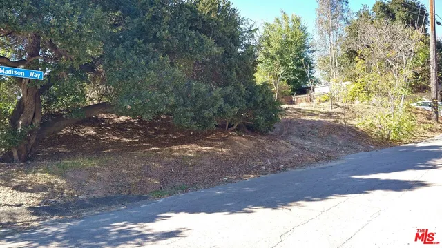 a view of a yard with plants and trees