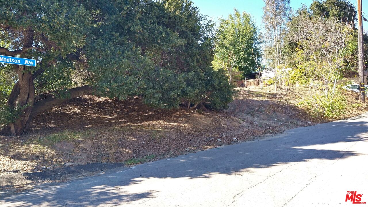 30000 Madison Way Val Verde, CA 91384 - Photo 9 of 11 a view of a yard with plants and trees