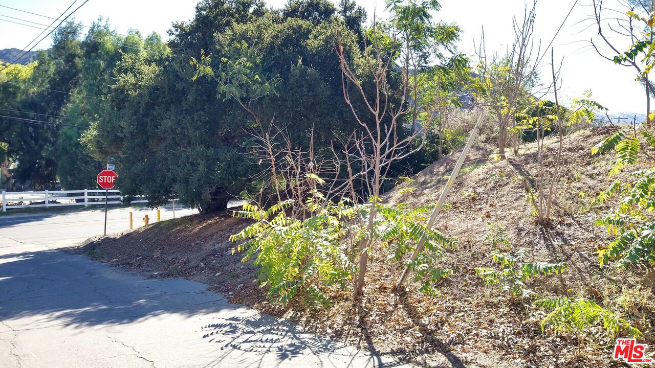 30000 Madison Way Val Verde, CA 91384 - Photo 10 of 11