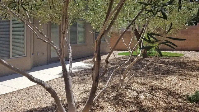 $3,200 | 973 Via Stellato Street, Henderson, NV 89011