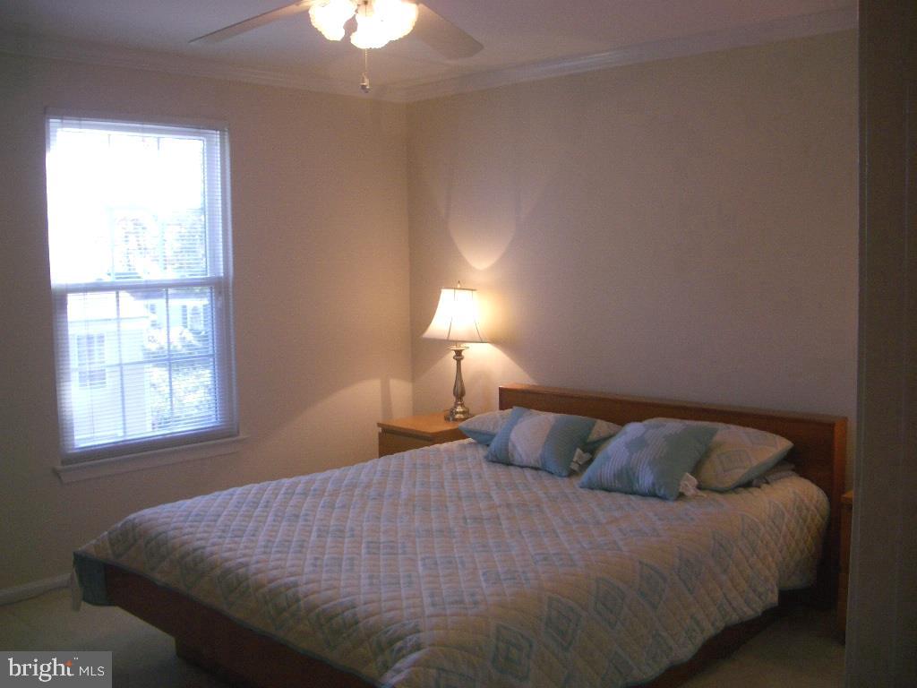 2805 Ashmont Terrace Silver Spring, MD 20906 - Photo 10 of 28 Master bedroom with full bath