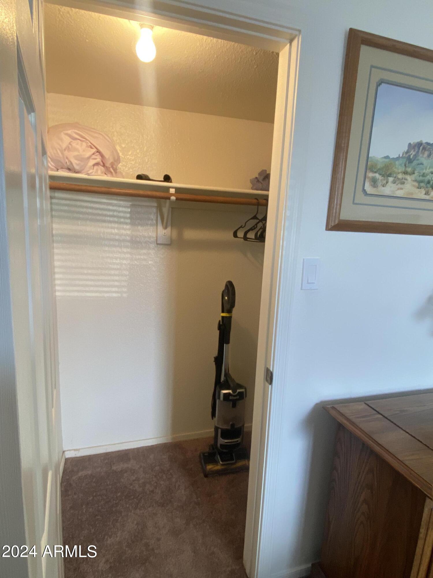 1440 North Idaho Road, Unit 1013 Apache Junction, AZ 85119 - Photo 10 of 40 a view of closet