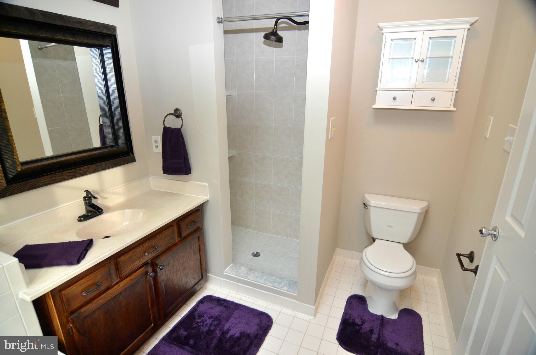 11402 Elmshorn Way Laurel, MD 20708 - Photo 24 of 30 Bath (Master)