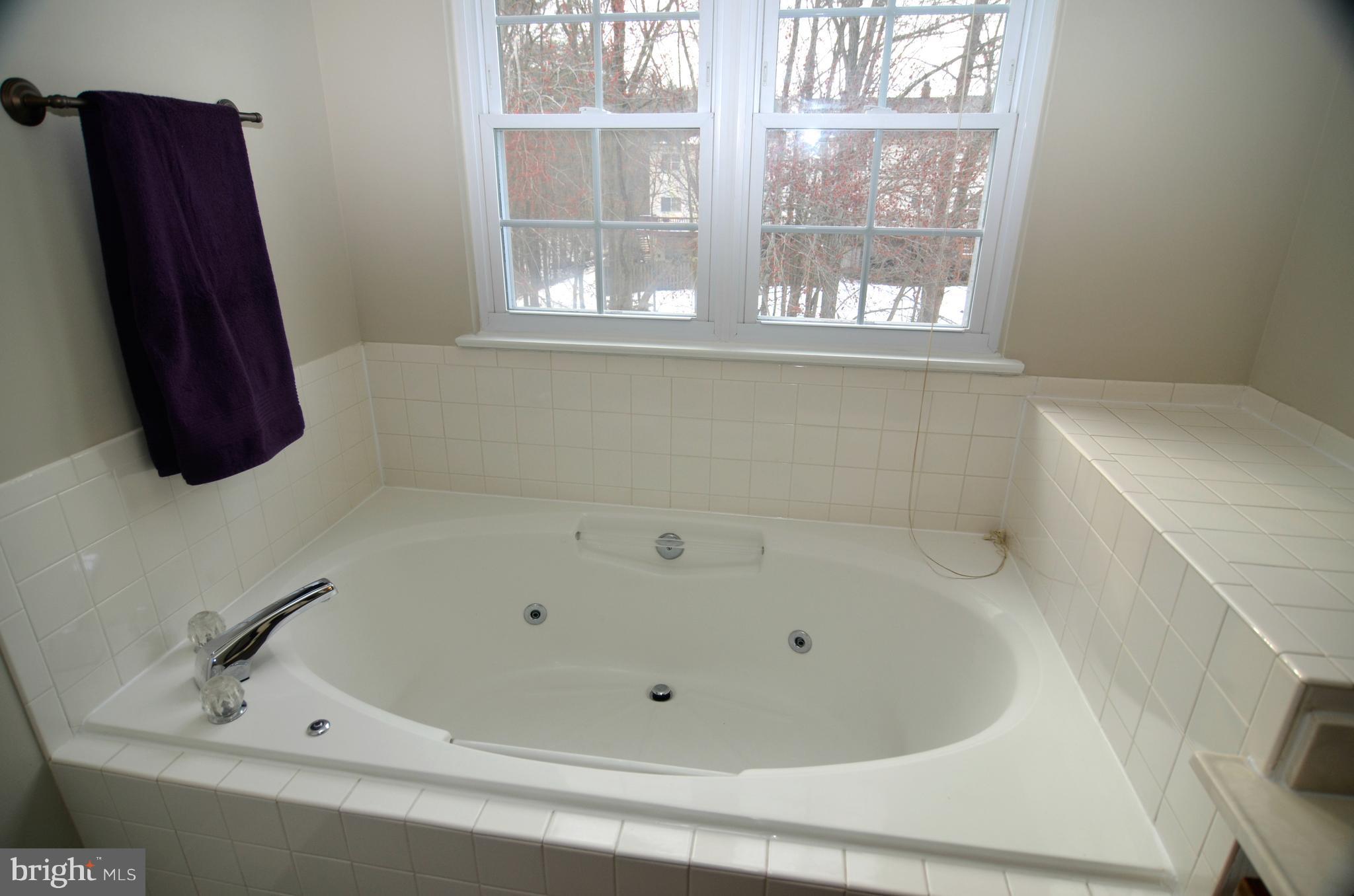 11402 Elmshorn Way Laurel, MD 20708 - Photo 26 of 30 Bath (Master)