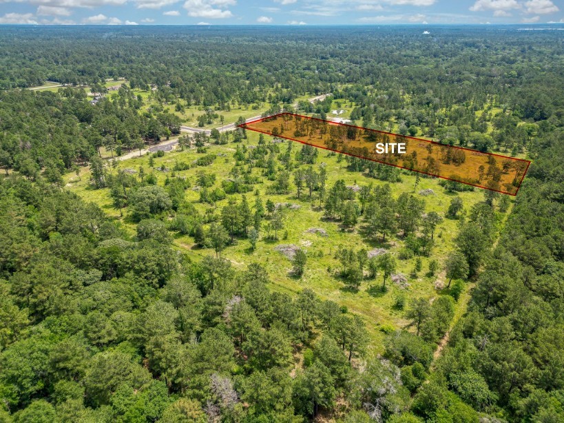 a view of a city with lush green forest