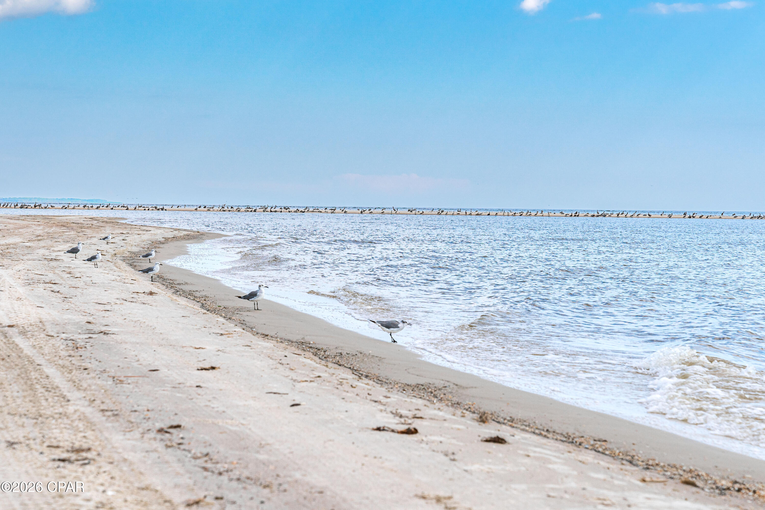 2276 Indian Pass Road Port St. Joe, FL 32456 - Photo 12 of 22