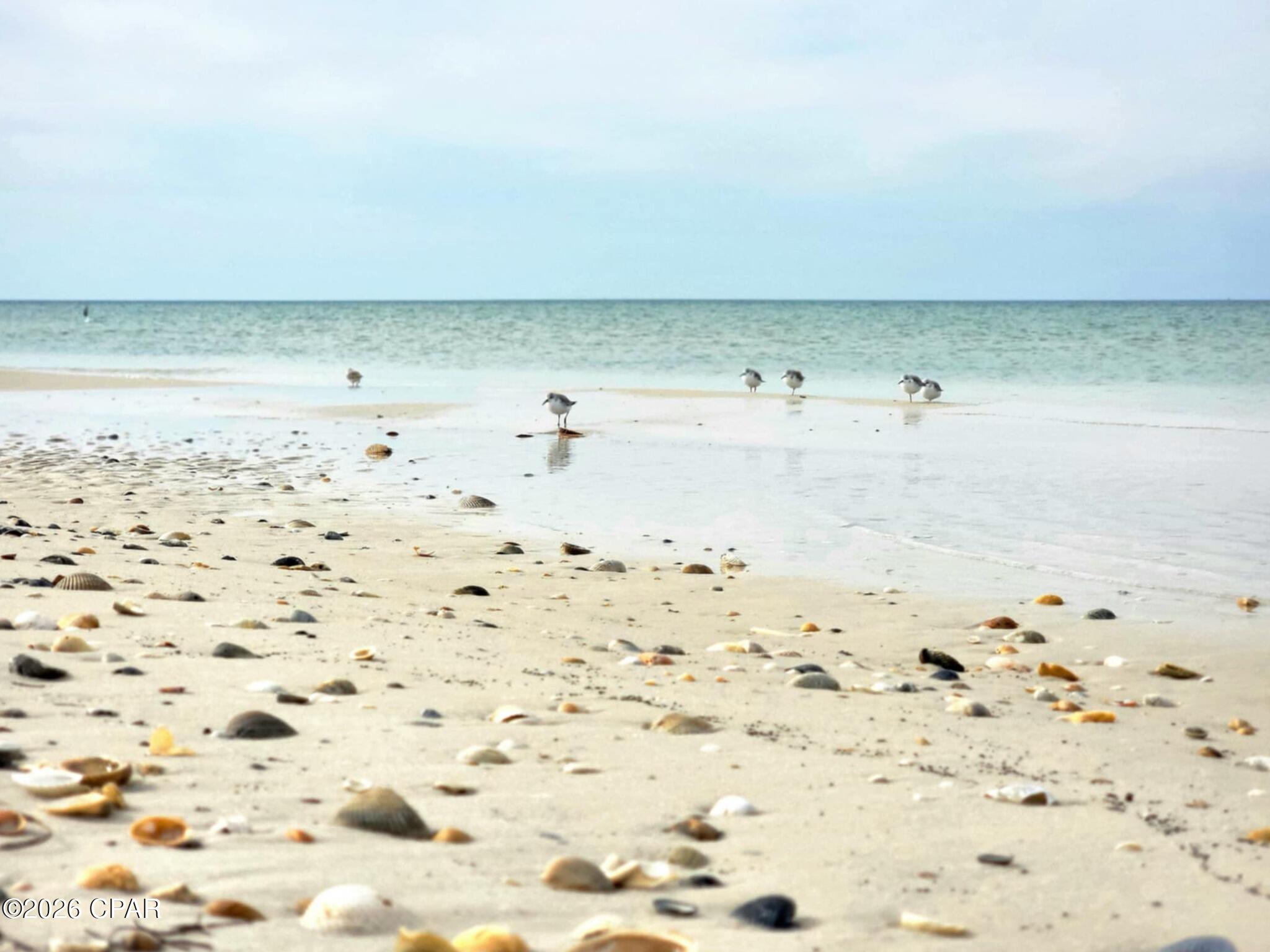 2276 Indian Pass Road Port St. Joe, FL 32456 - Photo 13 of 22