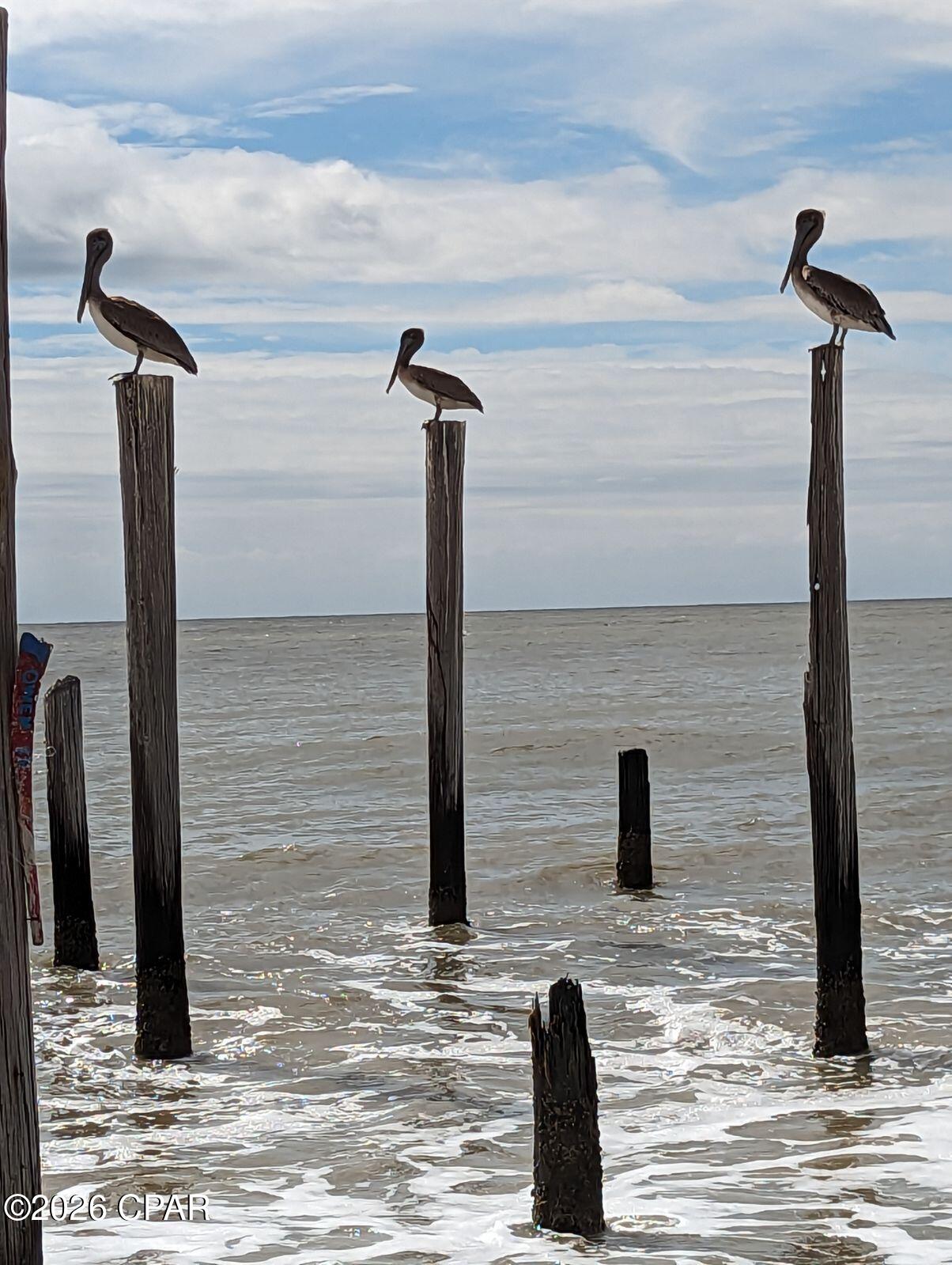 2276 Indian Pass Road Port St. Joe, FL 32456 - Photo 14 of 22