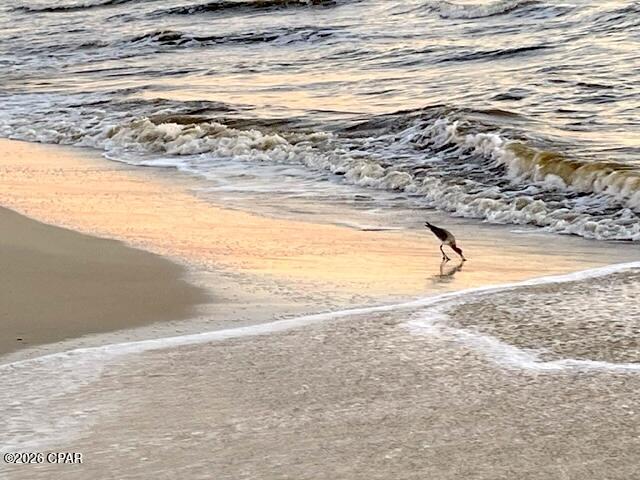 2276 Indian Pass Road Port St. Joe, FL 32456 - Photo 15 of 22