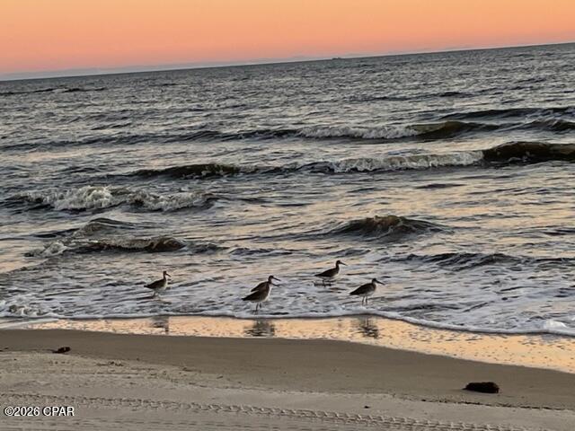 2276 Indian Pass Road Port St. Joe, FL 32456 - Photo 17 of 22