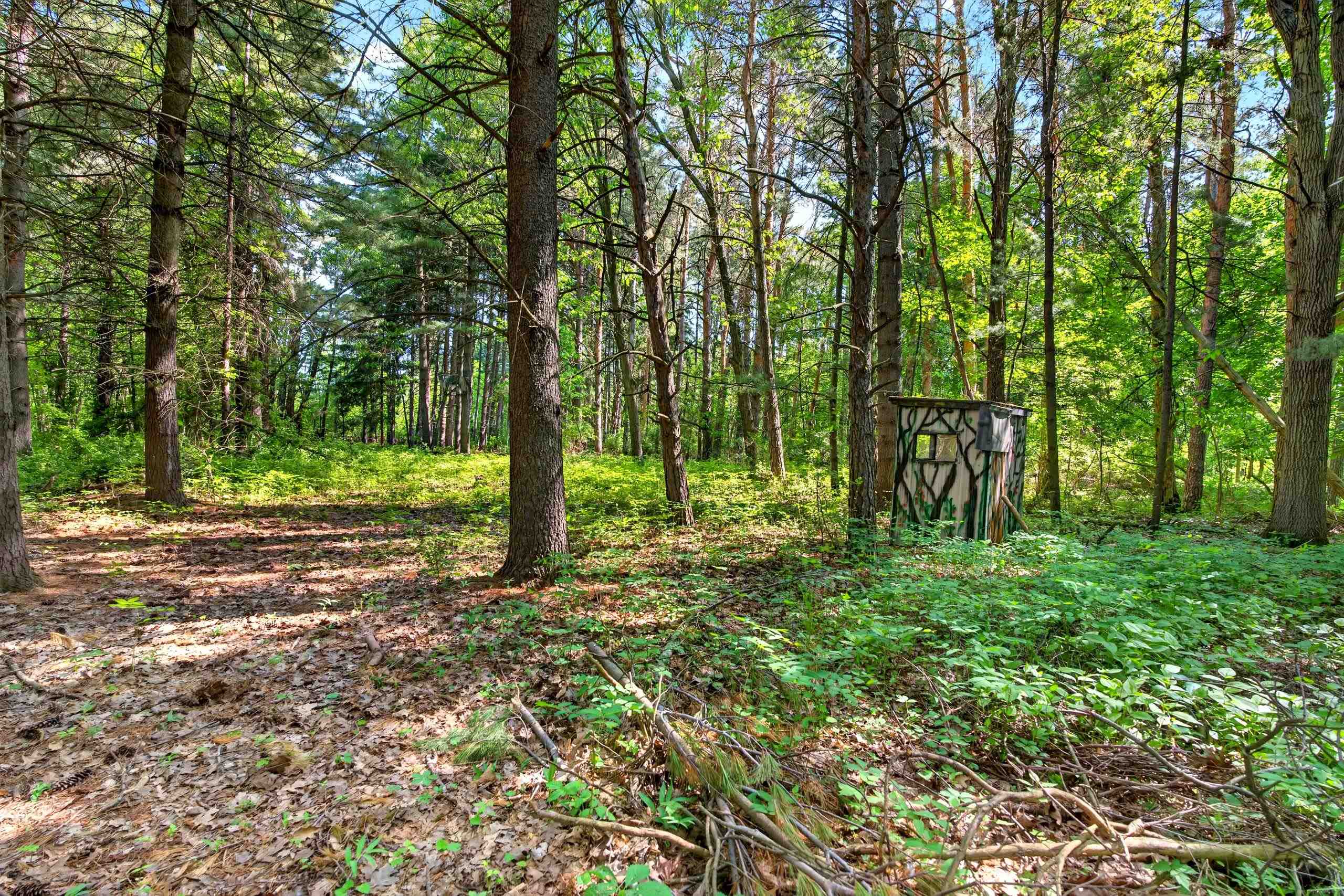 204 Russell Road Kawkawlin, MI 48631 - Photo 58 of 82 Gallery Image 58