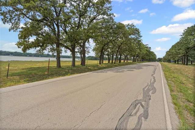 a view of a yard with large trees